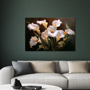 Calla-Lilien
