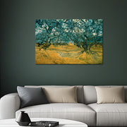 Olivenbäume - Van Gogh
