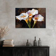 Drei warme Calla-Lilien