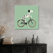 Hund auf dem Fahrrad