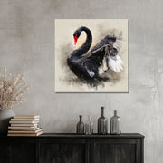 Der Schwarze Schwan III