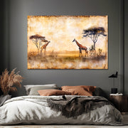 Giraffensavanne