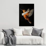 Kolibri