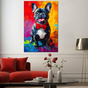 Französische Bulldogge