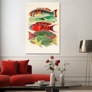 Fische des Great Barrier Reefs - William Saville-Kent