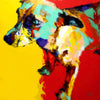 Hund in Farbe