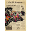 Buntes Zebra